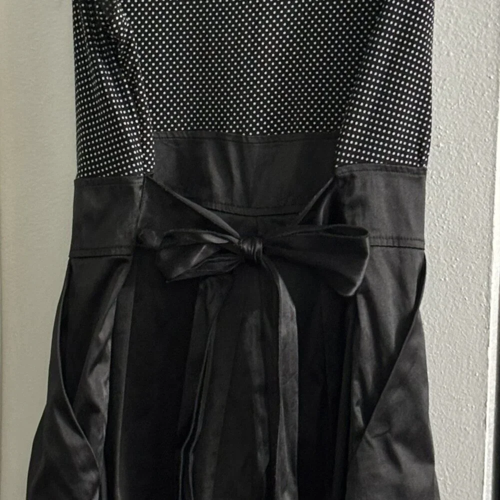 Polk a Dots and Satin - Picture 2 of 3